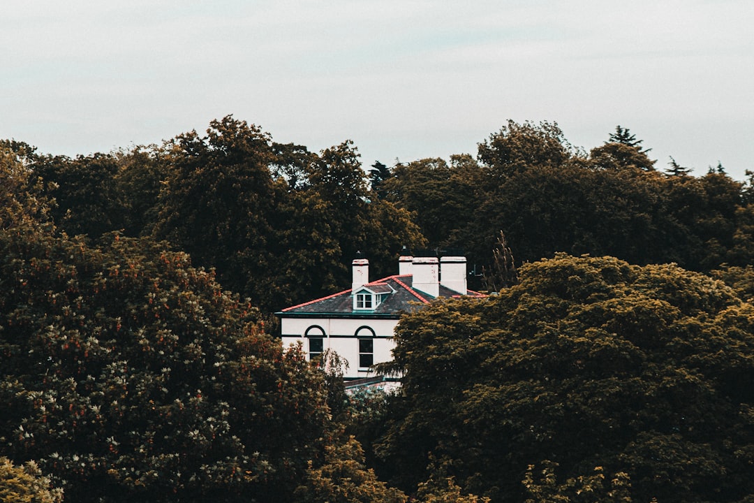 Photo Spooky Mansion